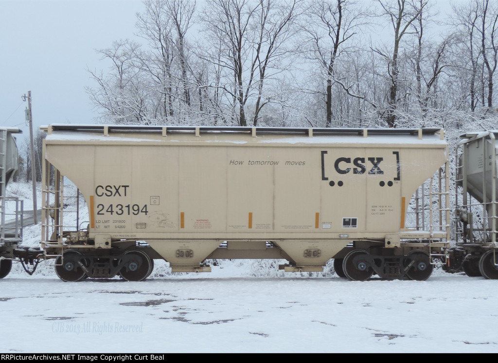 CSX 243194